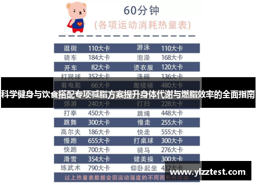 科学健身与饮食搭配专项减脂方案提升身体代谢与燃脂效率的全面指南